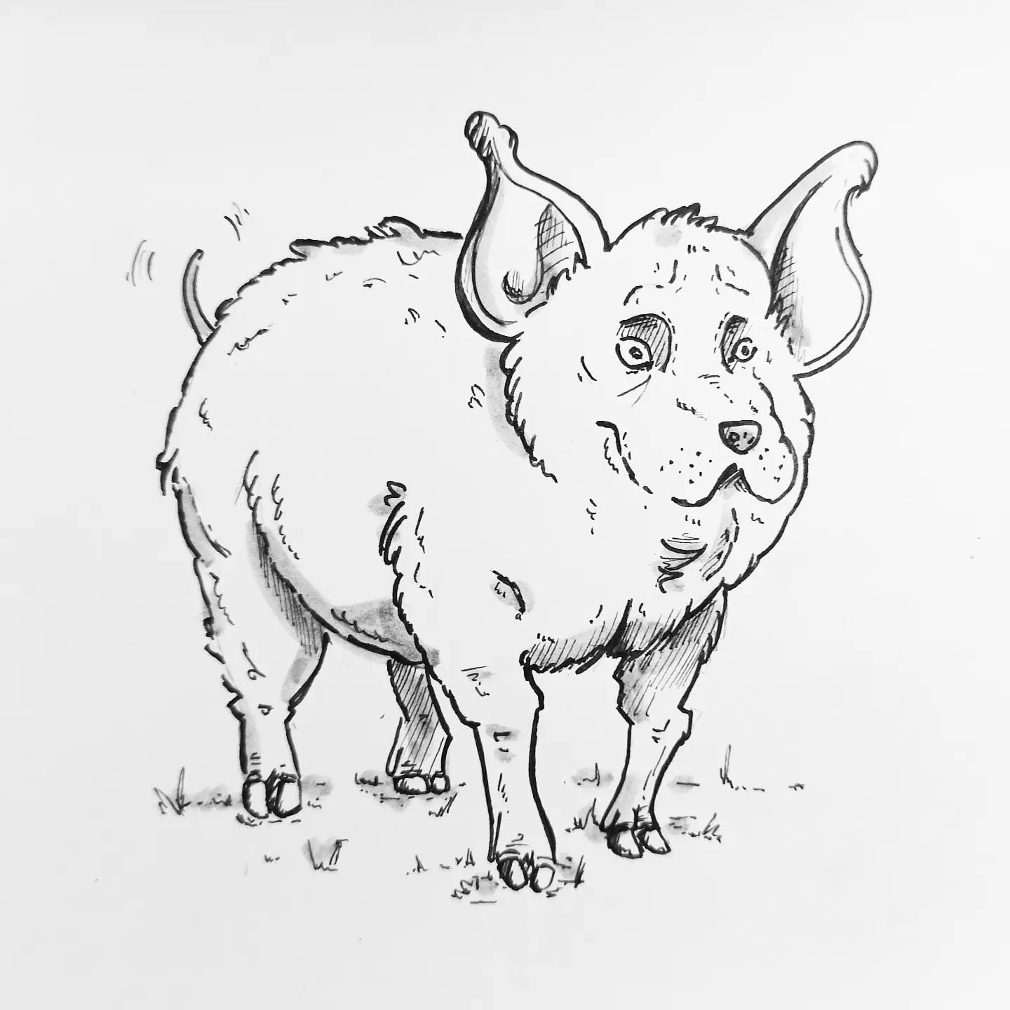 Das ist dein #Hundeschwein das exakte Gegenteil deines #Schweinehundes, strebsam, energiegeladen, motiviert und diszipliniert. Er packt auch am #Freitag noch richtig an!#kopfprojekt #blog #life #diary #tagebuch #zettelfan #zeichnen #zeichnung #bildchen #skizze #skribble #scribble #kritzelei #comic #drawing #illustration #painting #artbook #sketch #sketchbook #doodle #draft #inkdrawing