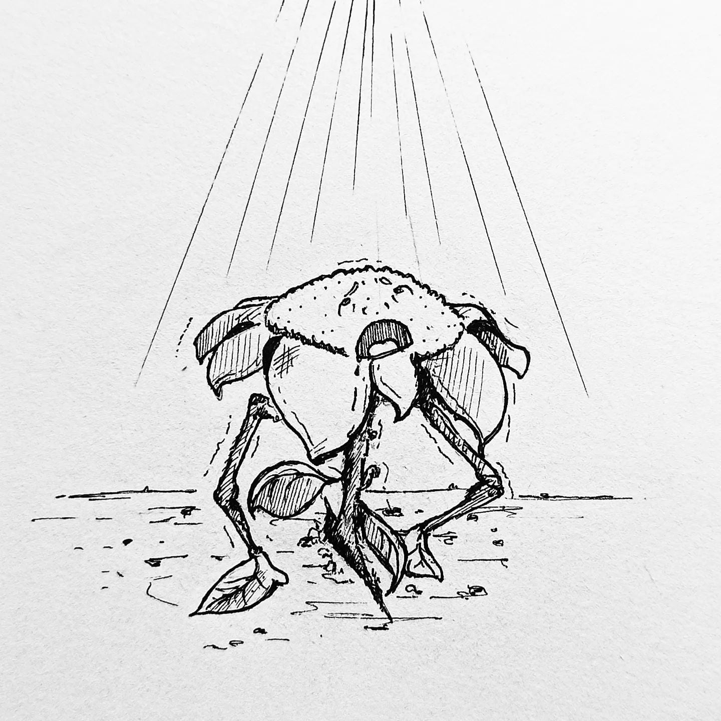 Die letzten #sonnenstrahlen für dieses Jahr. Kämpft euch noch mal hoch, irgendwo liegen die kurzen Hosen noch in der Ecke!#kopfprojekt #blog #life #diary #tagebuch #zettelfan #zeichnen #zeichnung #bildchen #skizze #skribble #scribble #kritzelei #comic #drawing #illustration #painting #artbook #sketch #sketchbook #doodle #draft #inkdrawing