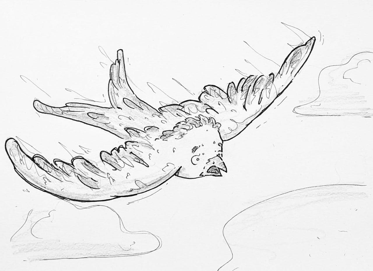 Fliegen will gelernt sein, den Absprung haben ich jetzt aber schon mal hinter mir. 🛩️🪨…#kopfprojekt #blog #life #diary #tagebuch #zettelfan #zeichnen #zeichnung #bildchen #skizze #skribble #scribble #kritzelei #comic #drawing #illustration #painting #artbook #sketch #sketchbook #doodle #draft #inkdrawing