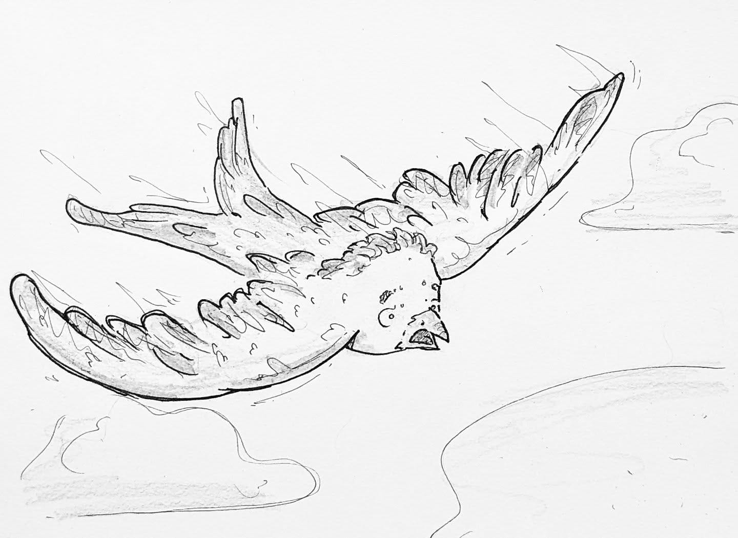 Fliegen will gelernt sein, den Absprung haben ich jetzt aber schon mal hinter mir. 🛩️🪨…#kopfprojekt #blog #life #diary #tagebuch #zettelfan #zeichnen #zeichnung #bildchen #skizze #skribble #scribble #kritzelei #comic #drawing #illustration #painting #artbook #sketch #sketchbook #doodle #draft #inkdrawing